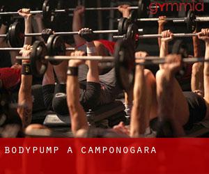 BodyPump a Camponogara