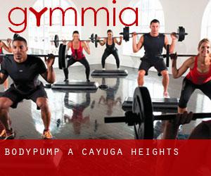 BodyPump a Cayuga Heights