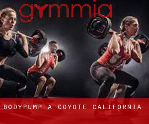 BodyPump a Coyote (California)