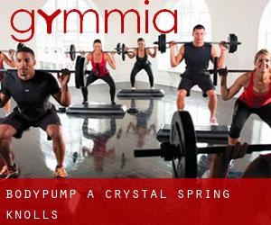 BodyPump a Crystal Spring Knolls