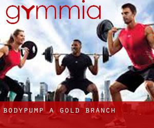 BodyPump a Gold Branch