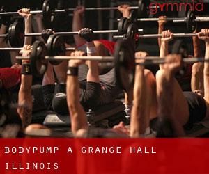 BodyPump a Grange Hall (Illinois)