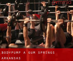 BodyPump a Gum Springs (Arkansas)