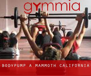 BodyPump a Mammoth (California)