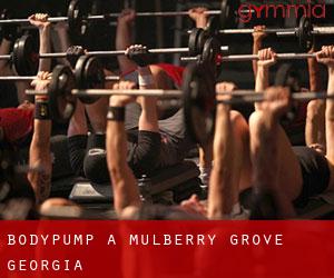 BodyPump a Mulberry Grove (Georgia)