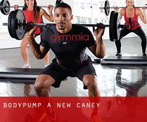 BodyPump a New Caney