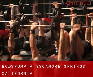 BodyPump a Sycamore Springs (California)