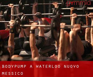 BodyPump a Waterloo (Nuovo Messico)
