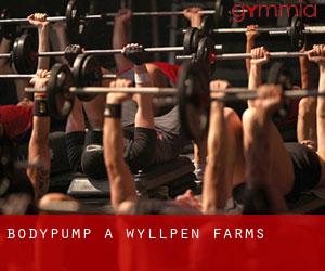 BodyPump a Wyllpen Farms