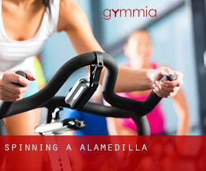 Spinning a Alamedilla