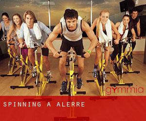 Spinning a Alerre