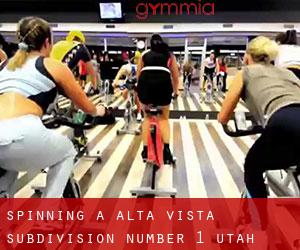 Spinning a Alta Vista Subdivision Number 1 (Utah)