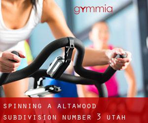 Spinning a Altawood Subdivision Number 3 (Utah)