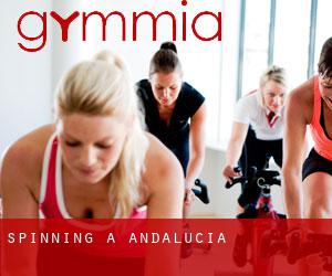 Spinning a Andalucia