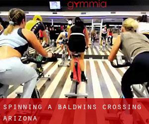 Spinning a Baldwins Crossing (Arizona)