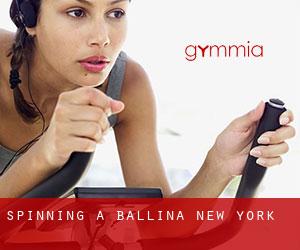 Spinning a Ballina (New York)