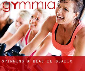 Spinning a Beas de Guadix