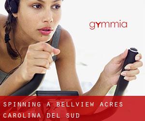 Spinning a Bellview Acres (Carolina del Sud)