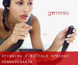 Spinning a Buffalo Springs (Pennsylvania)