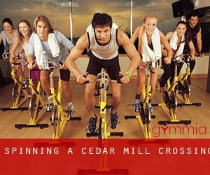 Spinning a Cedar Mill Crossing