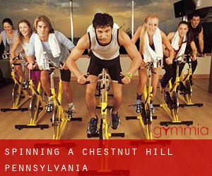 Spinning a Chestnut Hill (Pennsylvania)