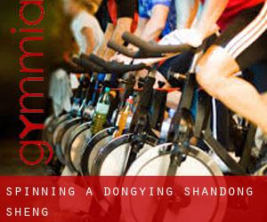 Spinning a Dongying (Shandong Sheng) Spinning a Dongying (Shandong Sheng)