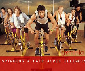 Spinning a Fair Acres (Illinois)