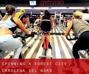 Spinning a Forest City (Carolina del Nord)