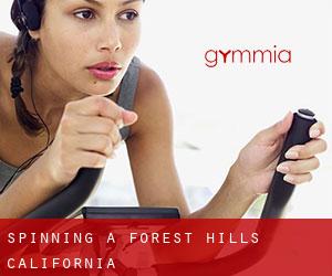 Spinning a Forest Hills (California)