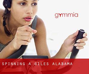 Spinning a Giles (Alabama) Spinning a Giles (Alabama)
