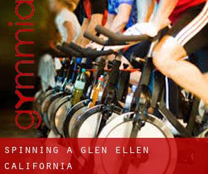 Spinning a Glen Ellen (California)