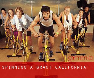 Spinning a Grant (California)