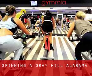 Spinning a Gray Hill (Alabama)