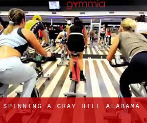 Spinning a Gray Hill (Alabama) Spinning a Gray Hill (Alabama)