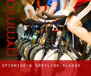 Spinning a Grayling (Alaska)