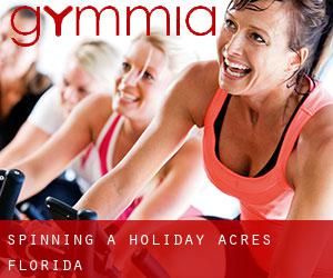 Spinning a Holiday Acres (Florida)