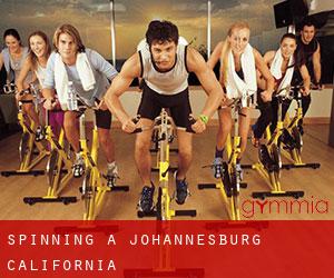Spinning a Johannesburg (California)
