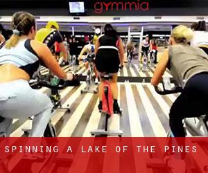 Spinning a Lake of the Pines