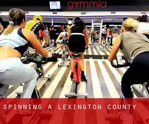 Spinning a Lexington County Spinning a Lexington County