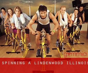 Spinning a Lindenwood (Illinois)