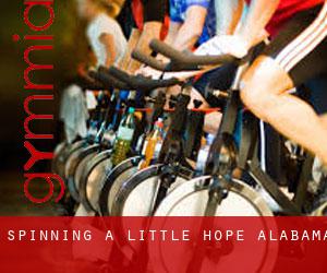 Spinning a Little Hope (Alabama) Spinning a Little Hope (Alabama)
