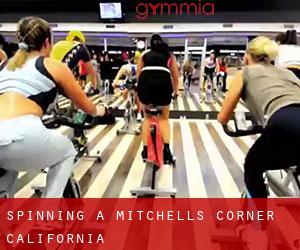 Spinning a Mitchells Corner (California)