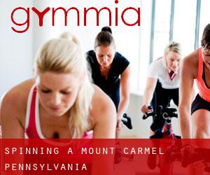 Spinning a Mount Carmel (Pennsylvania)
