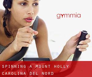 Spinning a Mount Holly (Carolina del Nord)