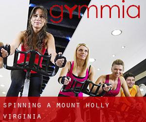 Spinning a Mount Holly (Virginia)