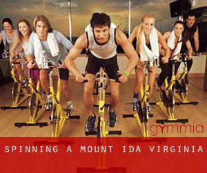 Spinning a Mount Ida (Virginia)