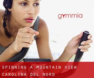 Spinning a Mountain View (Carolina del Nord)
