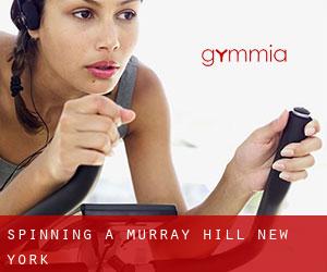 Spinning a Murray Hill (New York)