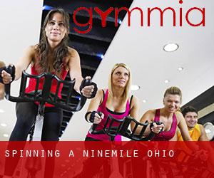 Spinning a Ninemile (Ohio)
