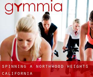 Spinning a Northwood Heights (California)